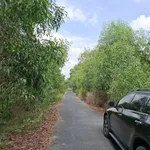 Bán đất tại Xã Tân Lập 1, Huyện Tân Phước, Tiền Giang, 6,9 tỷ, 7000 m2 hàng hiếm giá tốt - Ảnh thu nhỏ 4