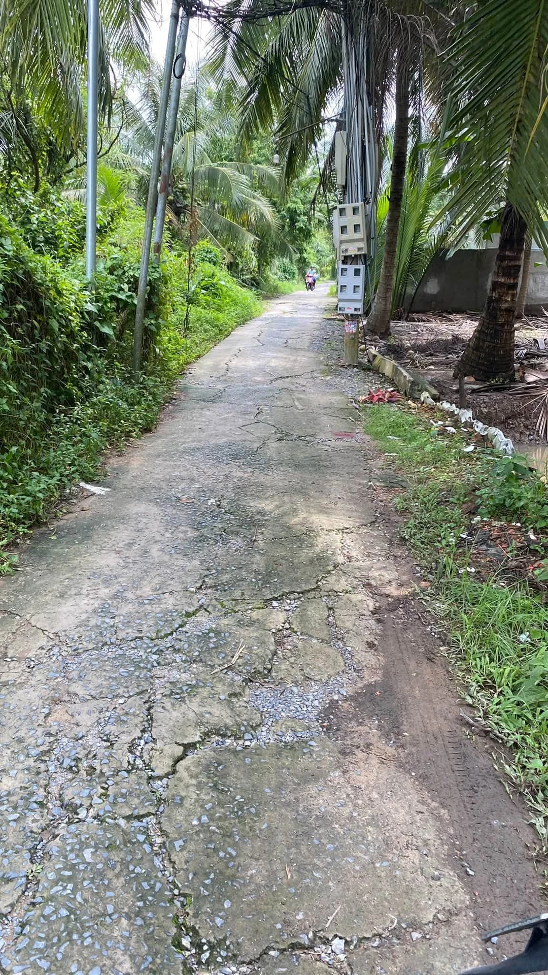 Bán nhà mặt tiền Lưu Hữu Phước, Vũng Tàu, 105m², 8 tỷ 999 triệu chauvanliem - Ảnh 1