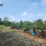Bán đất 10.000m2 Xã Bình Minh, Đồng Nai 16 tỷ - Ảnh thu nhỏ 3