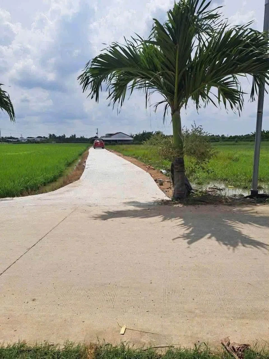 Bán đất 1000m2 xã Hòa Phú Nhà Bè 1 tỷ 100 triệu - Ảnh thu nhỏ 2