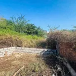 Bán đất thổ cư 91m² Phan Thiết 490 triệu - Ảnh thu nhỏ 2