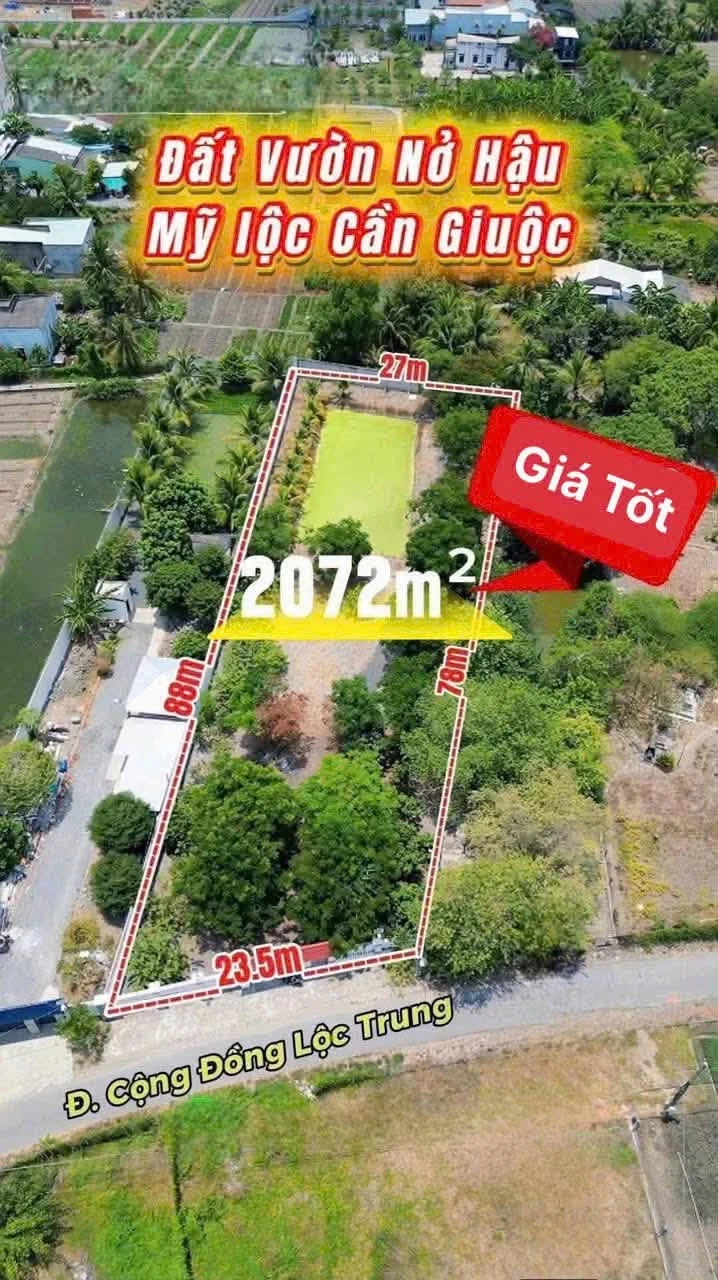 Bán đất 2.100m2 xây nhà vườn Cần Giờ - Ảnh 1