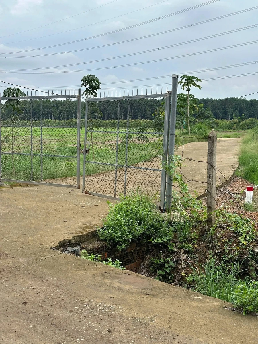 Bán đất nước ngoài 1.000m² Nha Bích, Đồng Nai - Ảnh thu nhỏ 2