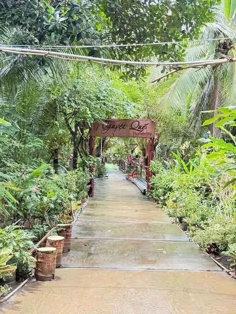 Bán đất mặt tiền lộ nhựa 500m² Bến Tre - Ảnh thu nhỏ 3