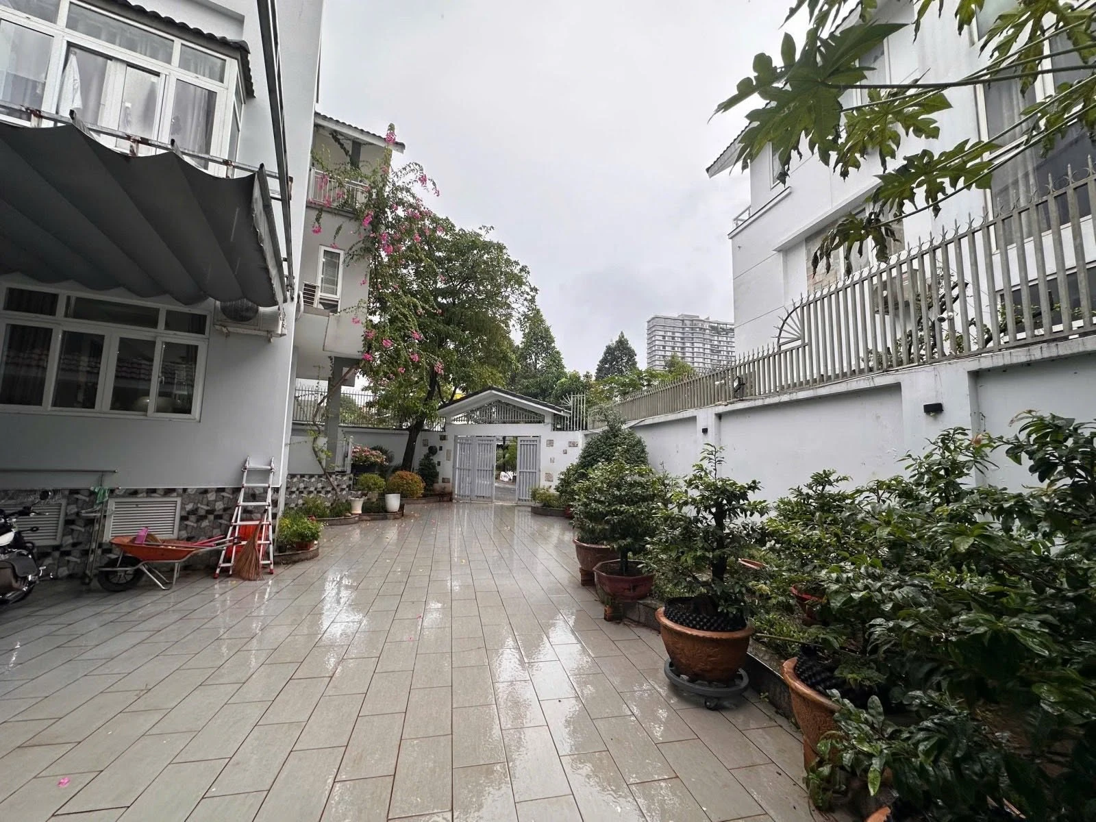Bán villa Hà Đô Tạ Hiện 469m2, 77 tỷ - Ảnh 1