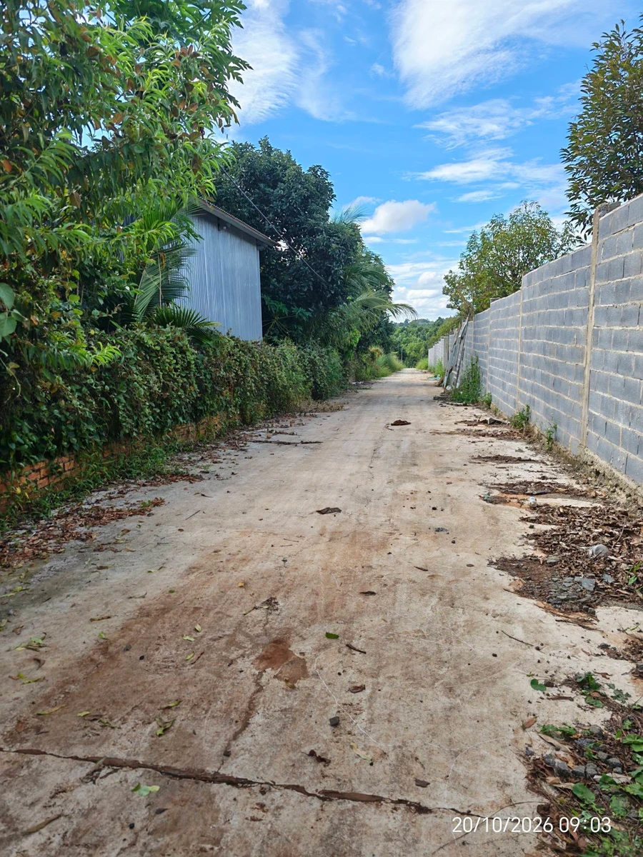 Bán đất 1000m2 mặt tiền 38m Đỗ Xuân Hợp, giá 1 tỷ 5 - Ảnh thu nhỏ 5