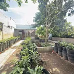 Bán nhà đất 745m² Xã Phú Hưng, Bến Tre 2,8 tỷ - Ảnh thu nhỏ 3