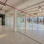 Bán toà nhà 7 tầng 250m2 khu D Nguyễn Gia Trí Quận 7 - Ảnh thu nhỏ 5