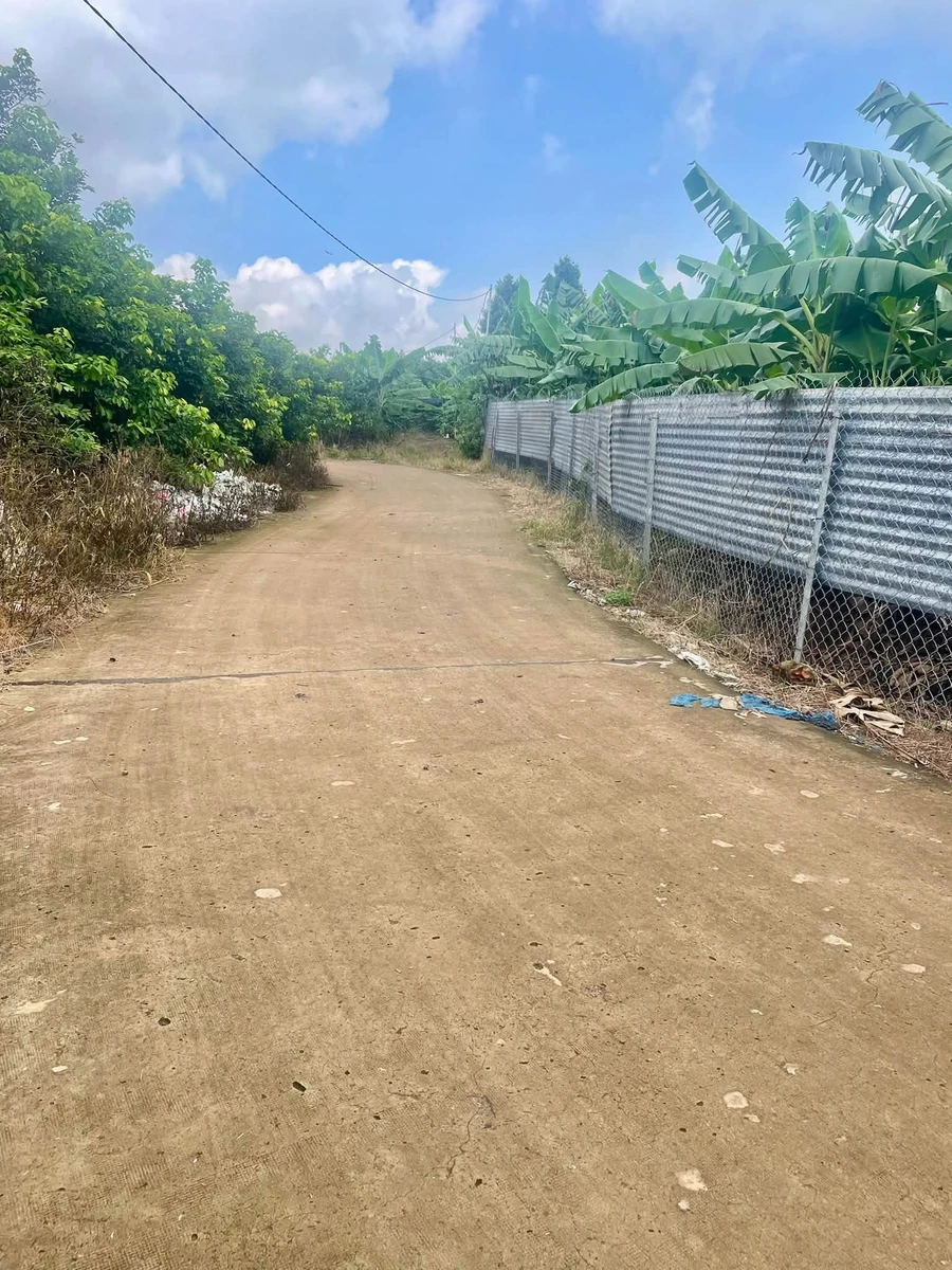 Bán đất 832 m² 2 mặt tiền Đức Huy, Thống Nhất, Đồng Nai, 900 triệu - Ảnh thu nhỏ 2