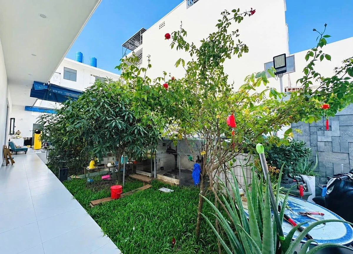 Bán biệt thự sân vườn 160m² 3PN Bình Chánh 1,15 tỷ - Ảnh thu nhỏ 4