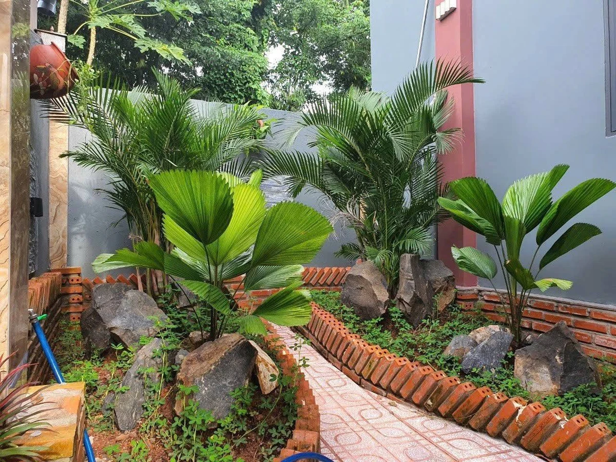 Bán nhà mái thái 288m2 3 phòng ngủ Hoà Long, Bà Rịa - Ảnh thu nhỏ 4