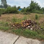 Bán đất vườn 200m² Phường 6 Thủ Đức 395 triệu - Ảnh thu nhỏ 3