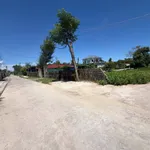 Bán đất Nghi Thạch Đông Lộc 100m2 1 tỷ 3 - Ảnh thu nhỏ 2