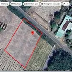 Bán gấp lô đất mặt tiền đường nhựa 30m, 1597m2 tại Tân Đông, Tân Châu, Tây Ninh - Ảnh thu nhỏ 2