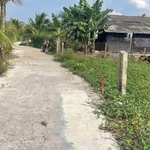 Bán 4 lô đất full thổ cư 190m² Hiệp Thạnh, Long An 350 triệu - Ảnh thu nhỏ 1