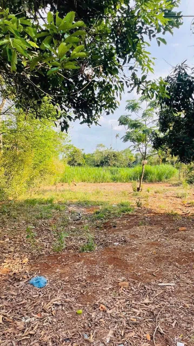 Bán lô đất 550m² mặt tiền hẻm Nguyễn Thái Bình, Tân Lập - Ảnh thu nhỏ 2