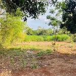 Bán lô đất 550m² mặt tiền hẻm Nguyễn Thái Bình, Tân Lập - Ảnh thu nhỏ 2