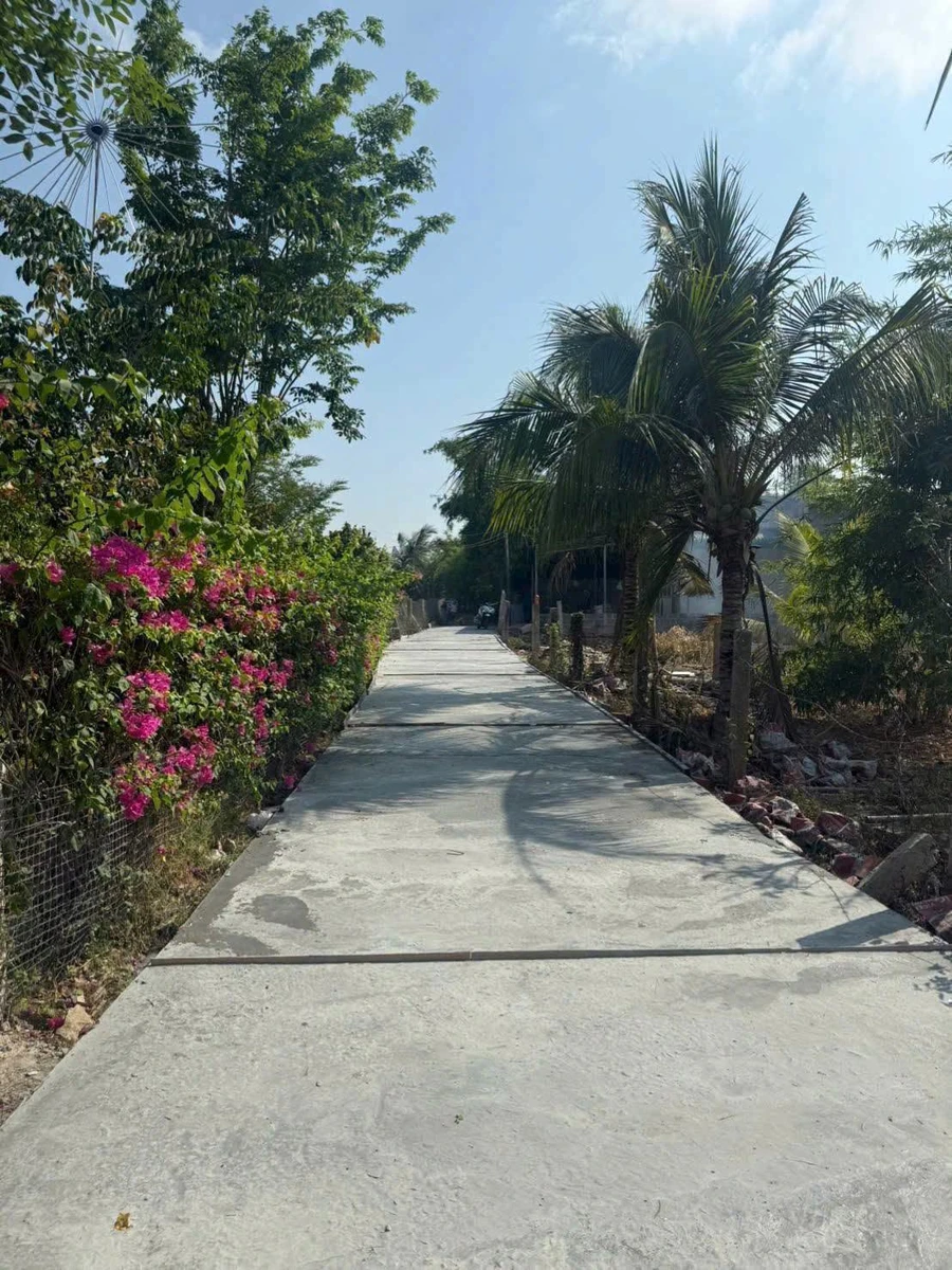 Bán đất 100m2 mặt tiền Thuận Bắc 279 triệu - Ảnh 1