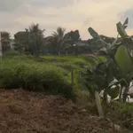 Bán đất nền 103 m² view cánh đồng Y Wang - Ảnh thu nhỏ 3