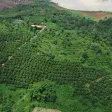 Bán ~6,6ha đất ven hồ trung tâm TP Gia Nghĩa - Ảnh thu nhỏ 4