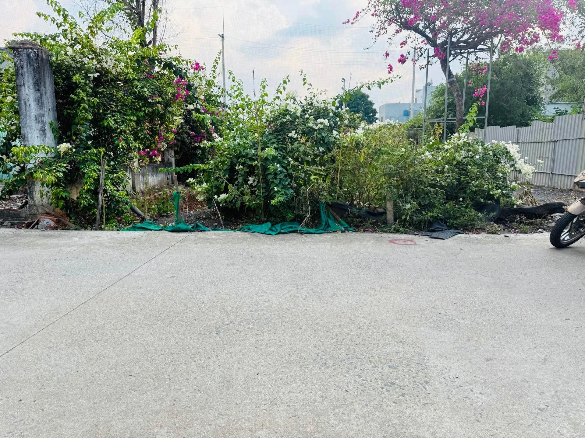 Bán đất Tân Đông Hiệp Dĩ An 150m² đường ô tô 3.8 tỷ - Ảnh 1