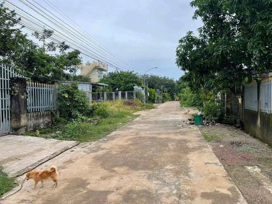 Bán lô đất 400m² Đồng Xoài, Bình Phước, 1 tỷ 950 triệu - Ảnh thu nhỏ 3