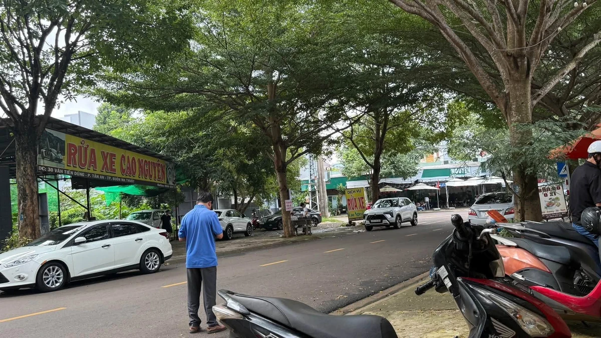 Đất bán mặt tiền Văn Tiến Dũng Buôn Ma Thuột 240m² - Ảnh thu nhỏ 5