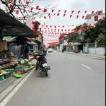 Bán đất nền 97.3m2 tại Xã Trường Tân, Gia Lộc, Hải Dương - Ảnh thu nhỏ 3