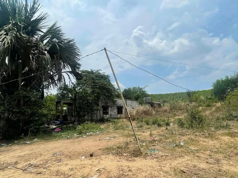 Bán đất hẻm Tỉnh Lộ 8 400m2, 1 tỷ 5, Bình Chánh datphumy