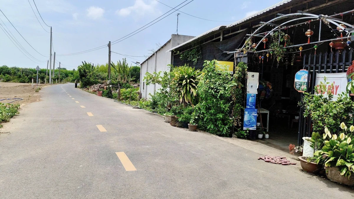 Bán 207m2 đất mặt tiền Nguyễn Huệ, Xã Đất Đỏ - 1 tỷ 139 triệu - Ảnh thu nhỏ 3