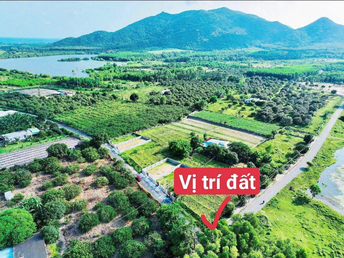 Bán lô góc 293,8m2 2 mặt tiền xã Phước Hải Nhà Bè - Ảnh 1