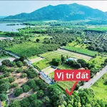 Bán lô góc 293,8m2 2 mặt tiền xã Phước Hải Nhà Bè - Ảnh thu nhỏ 1