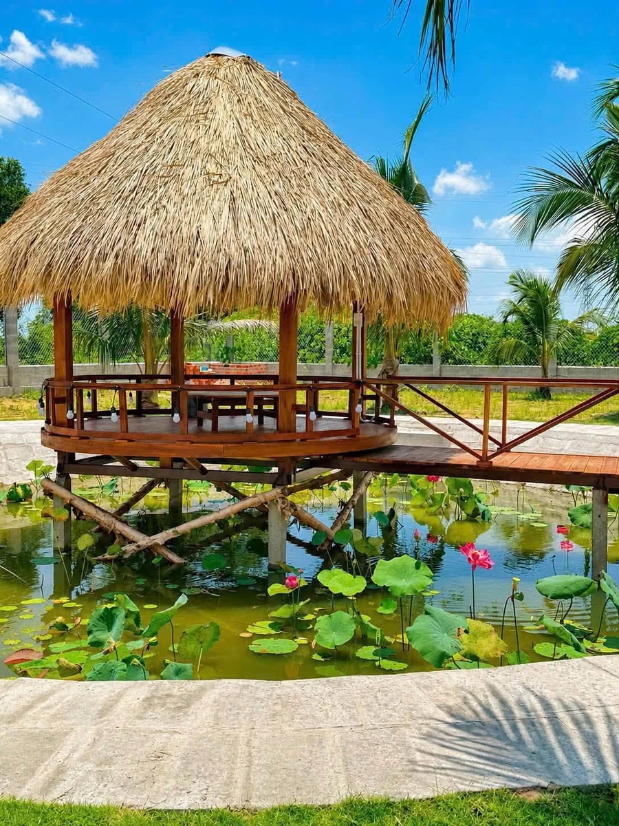 Bán đất vườn có nhà 1.606m² cách Phan Thiết 9km, giá 1 tỷ 850 triệu - Ảnh thu nhỏ 5