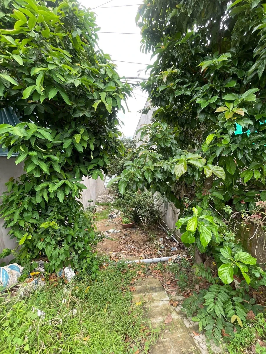 Bán nền mặt tiền Quốc lộ 95A Châu Đốc An Giang 92m² - Ảnh thu nhỏ 2