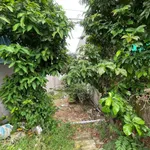 Bán nền mặt tiền Quốc lộ 95A Châu Đốc An Giang 92m² - Ảnh thu nhỏ 2