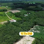 Bán đất nền 4700m2 view suối, Đồng Nai chỉ 1 tỷ - Ảnh thu nhỏ 2