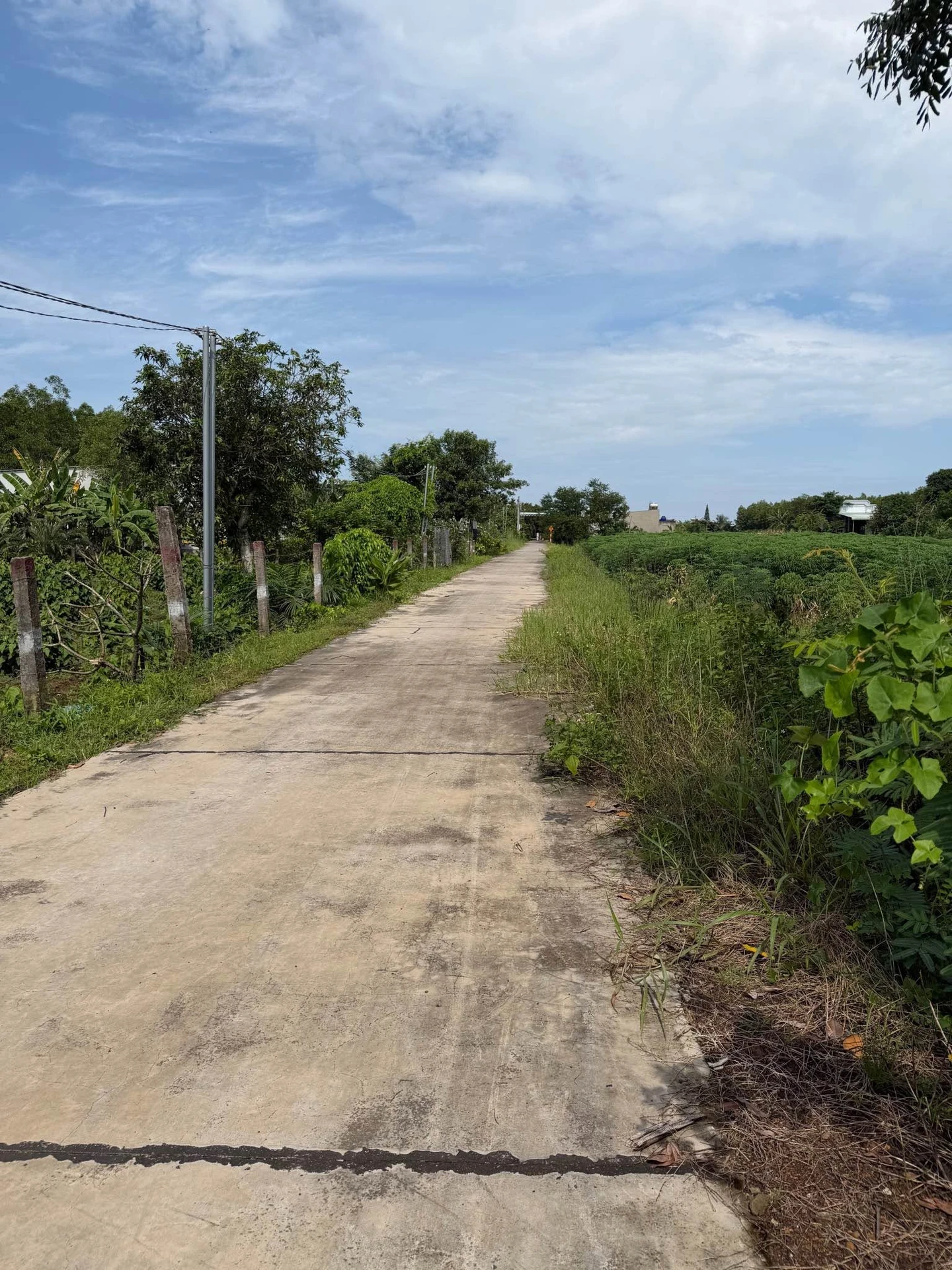 Bán đất 1000m² Xuân Thành, giá hơn 400 triệu - Ảnh 1