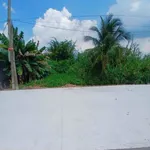 Bán 615m² đất vườn Tây Ninh 1 tỷ 650 triệu - Ảnh thu nhỏ 3