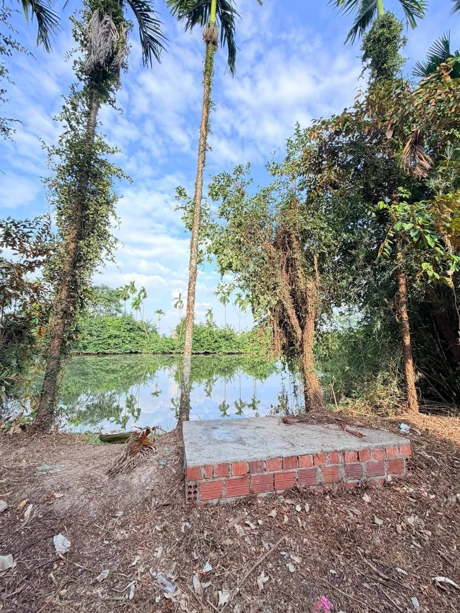 Bán 2500 m² đất 3 đường thông Hoa Động, Hải Phòng - Ảnh thu nhỏ 3