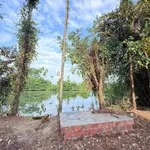 Bán 2500 m² đất 3 đường thông Hoa Động, Hải Phòng - Ảnh thu nhỏ 3