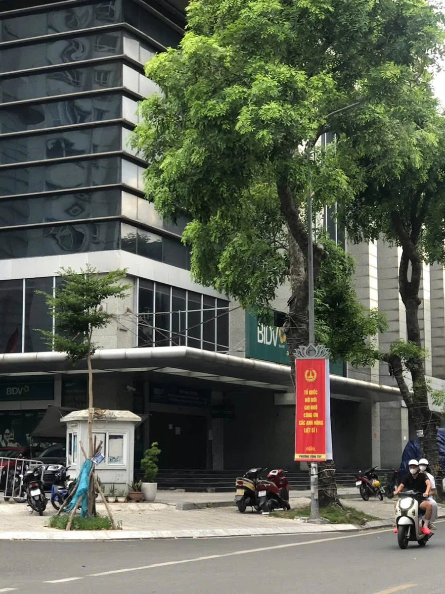 Bán nhà phố 80m cao cấp Tạ Quang Bửu, Quận 1 - 24 tỷ - Ảnh thu nhỏ 2