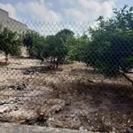 Bán lô đất 630m2 Xuyên Mộc Vũng Tàu 1 tỉ 999 triệu - Ảnh thu nhỏ 4