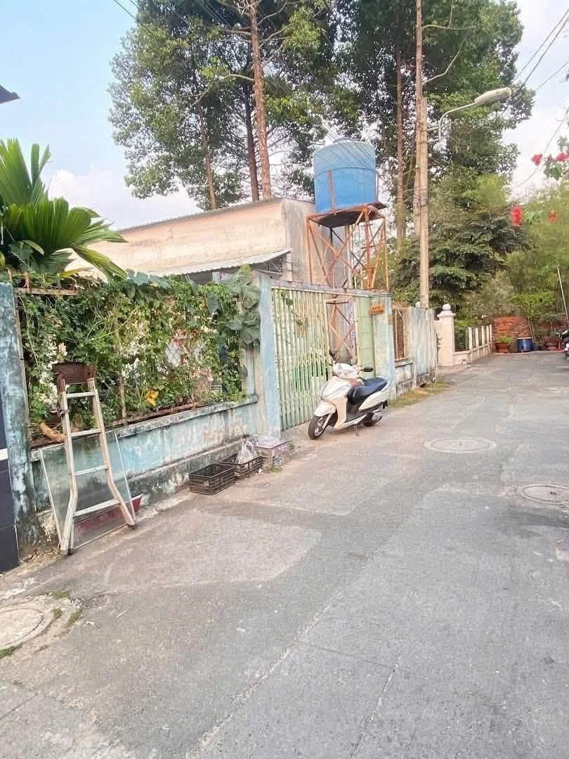 Bán đất 339m² Phú Hòa Bình Dương, sát chợ Phú Hòa - Ảnh thu nhỏ 4