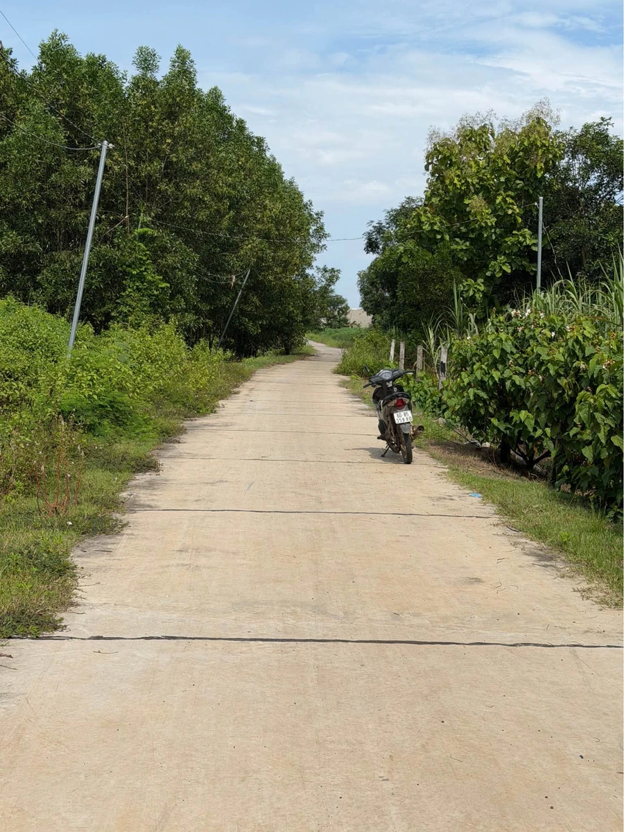 Bán đất 1000m² Xuân Thành, giá hơn 400 triệu - Ảnh thu nhỏ 2