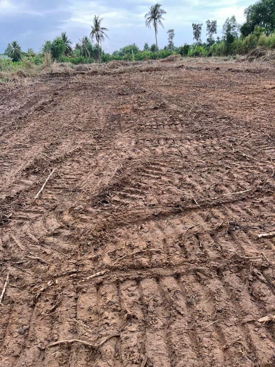 Bán đất vườn 3000m² Thạnh Hòa Bến Lức Long An giá 2 tỷ 550 - Ảnh thu nhỏ 4