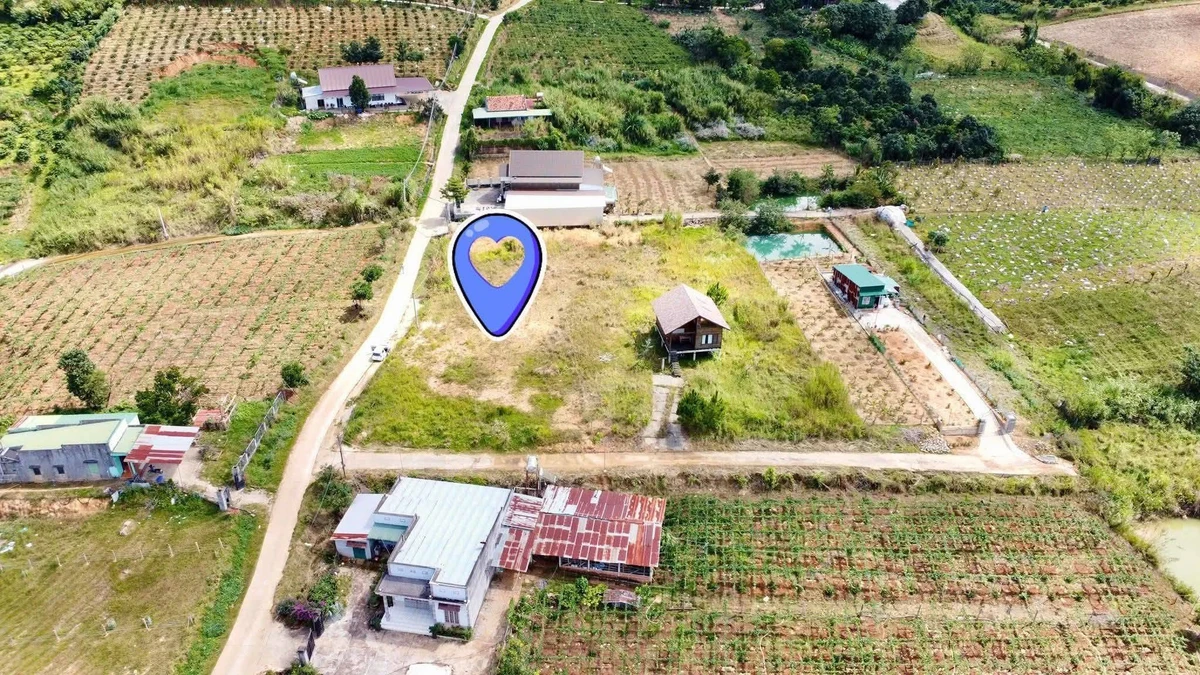 Bán đất nền 103m2 Đông Thanh, gần Đà Lạt 479 triệu - Ảnh 1