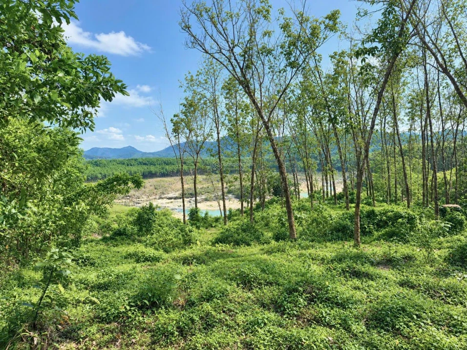 191.8m2 đất Bình Điền, cạnh bên Lake Ho, gần Ami Garden - Ảnh thu nhỏ 3