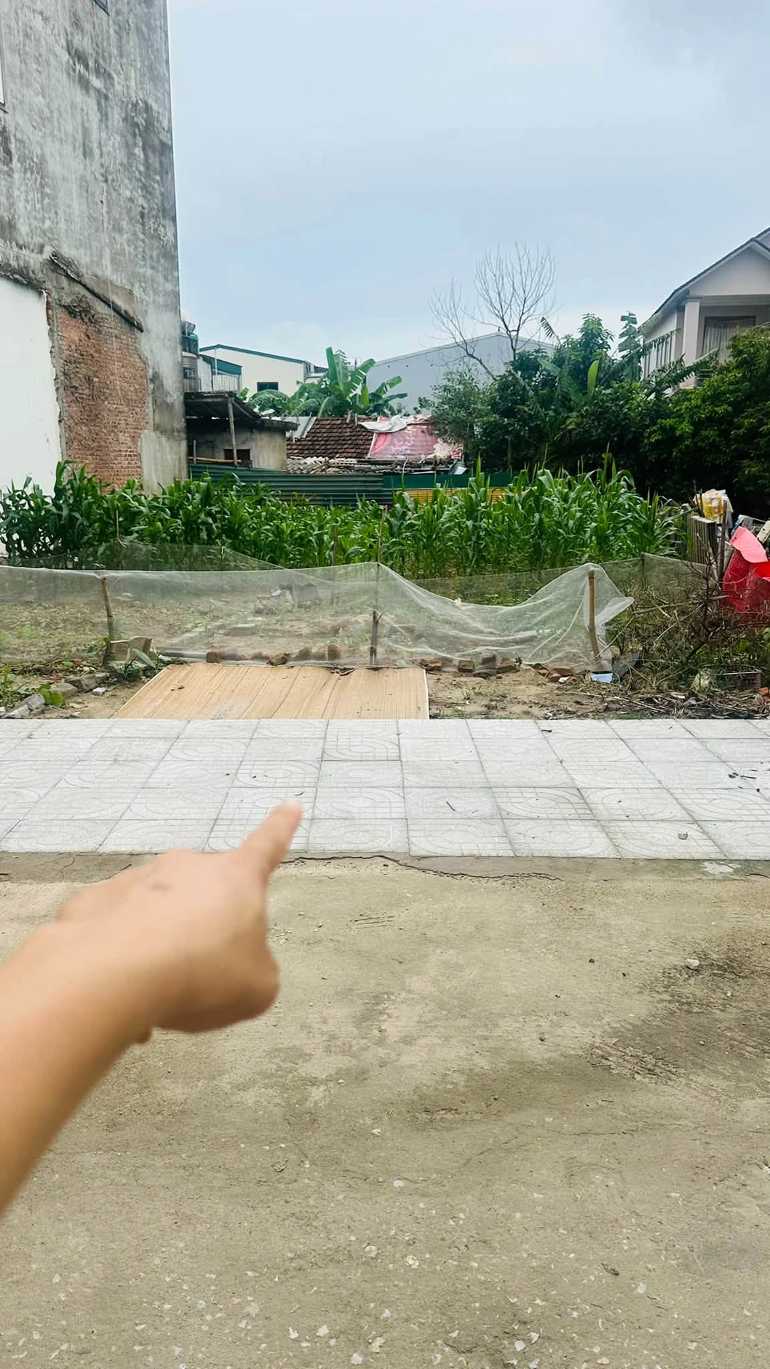 Bán đất 78m² mặt tiền 5m gần trường Hưng Lộc Quận 12 - Ảnh 1