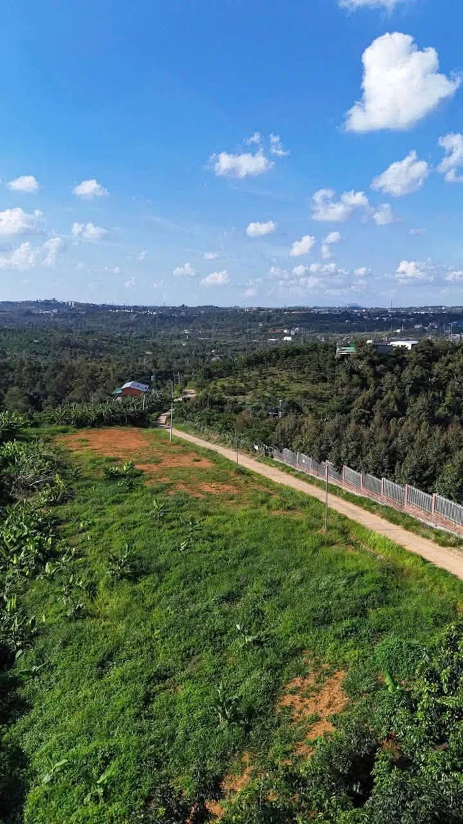 Bán lô đất 133m² view núi và TP Bảo Lộc, Lâm Đồng - Ảnh 1