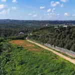 Bán lô đất 133m² view núi và TP Bảo Lộc, Lâm Đồng - Ảnh thu nhỏ 1